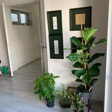 24/7 Security With Terrace דירה